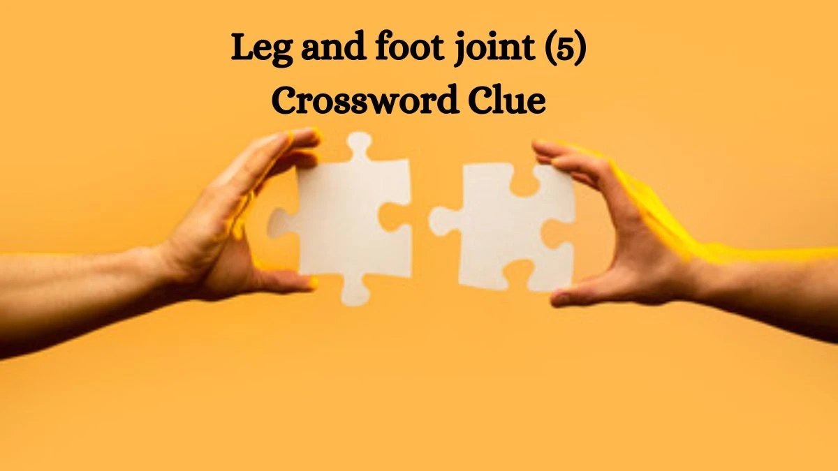 Leg and foot joint (5) Crossword Clue 5 Letters