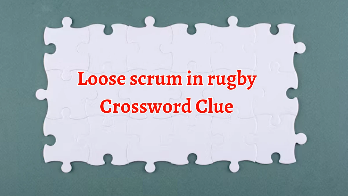 Loose scrum in rugby Crossword Clue 4 Letters