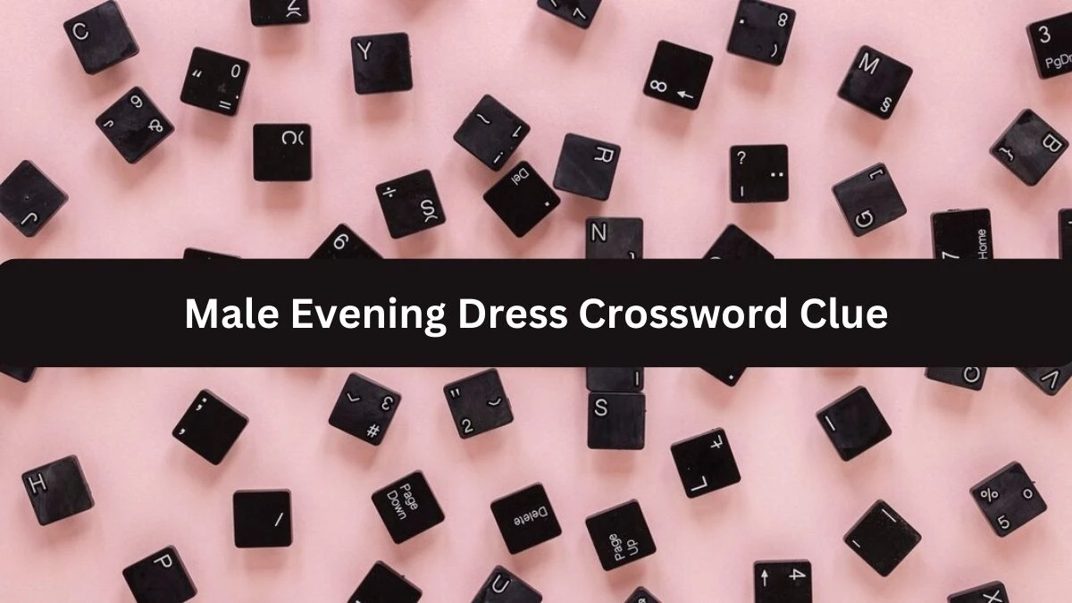 Guardian Quick Male Evening Dress Crossword Clue