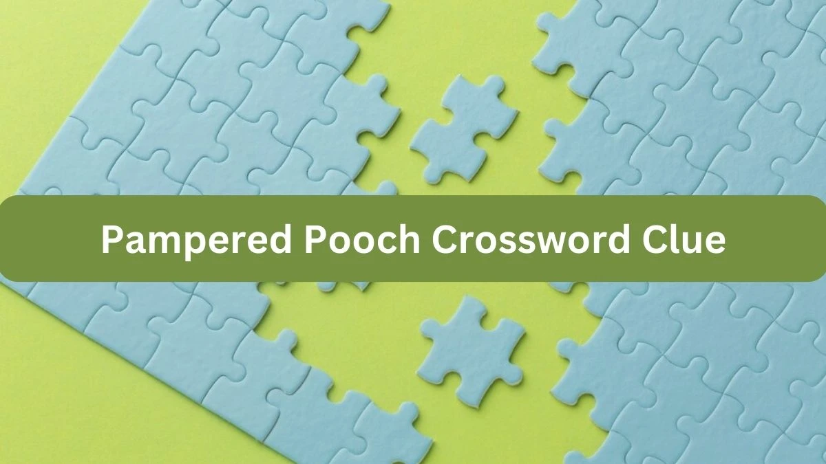 Pampered Pooch Crossword Clue