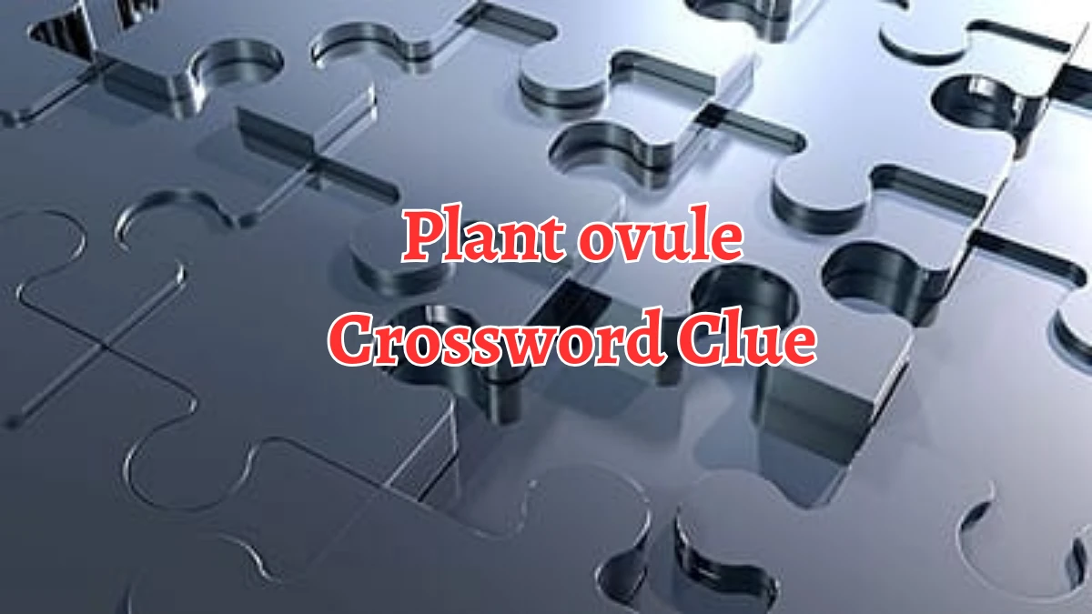 Plant ovule Crossword Clue 4 Letters