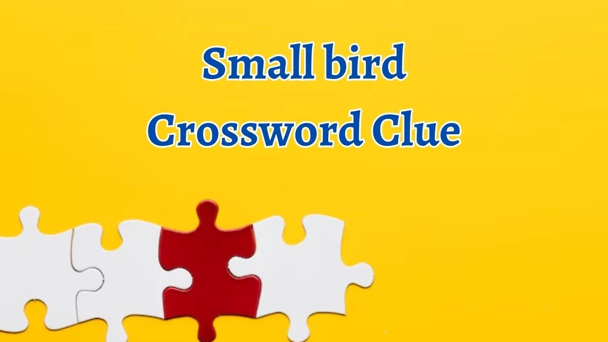 Small bird Crossword Clue