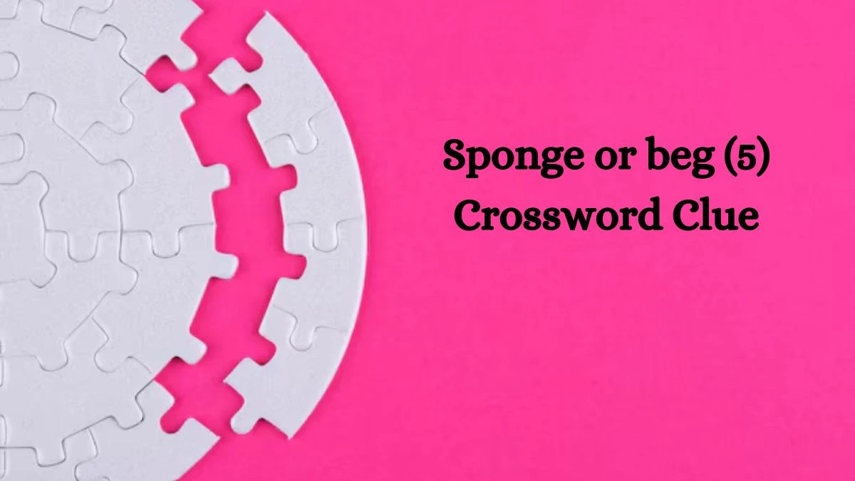 Sponge or beg (5) Crossword Clue 5 Letters