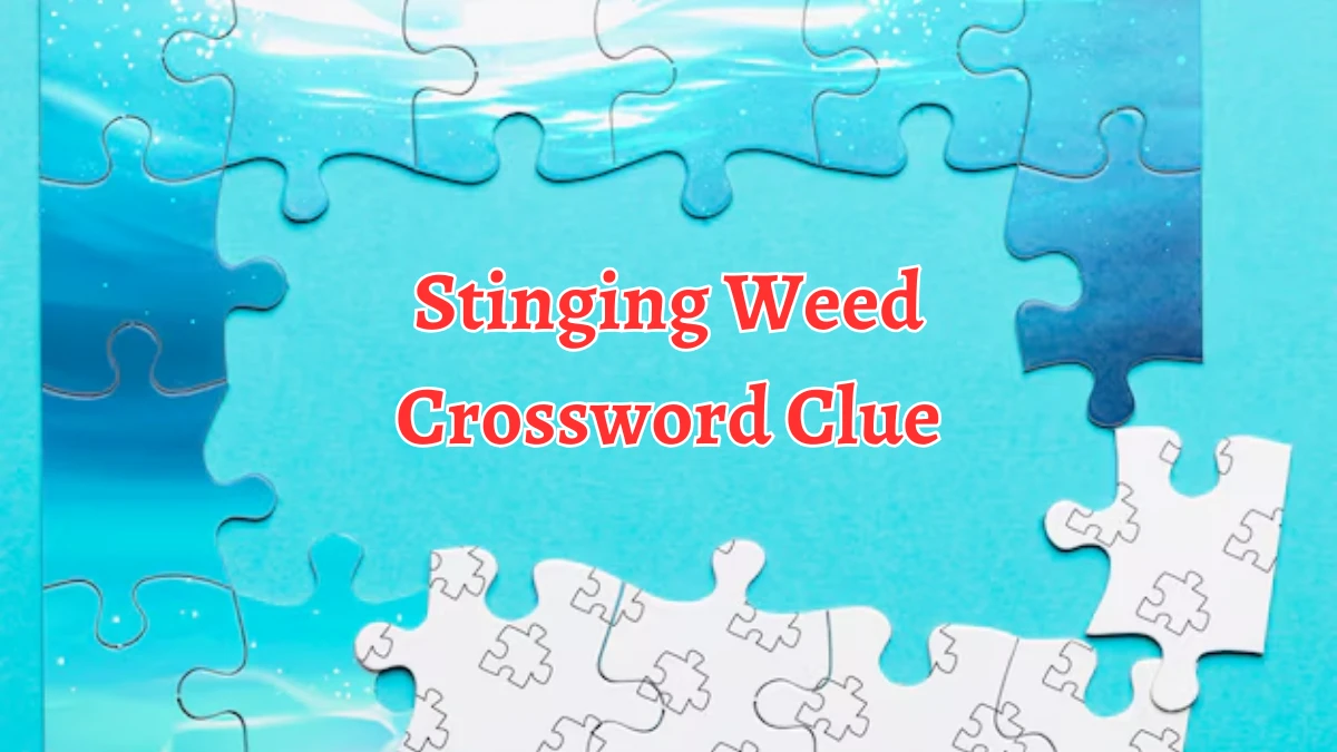 Stinging Weed Crossword Clue 6 Letters