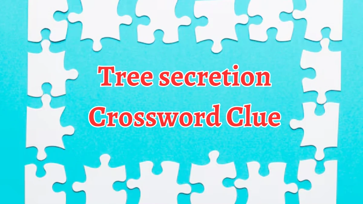 Tree secretion Crossword Clue 3 Letters