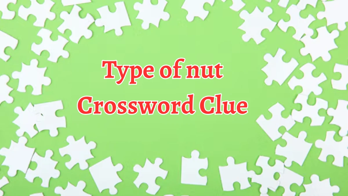 Type of nut Crossword Clue