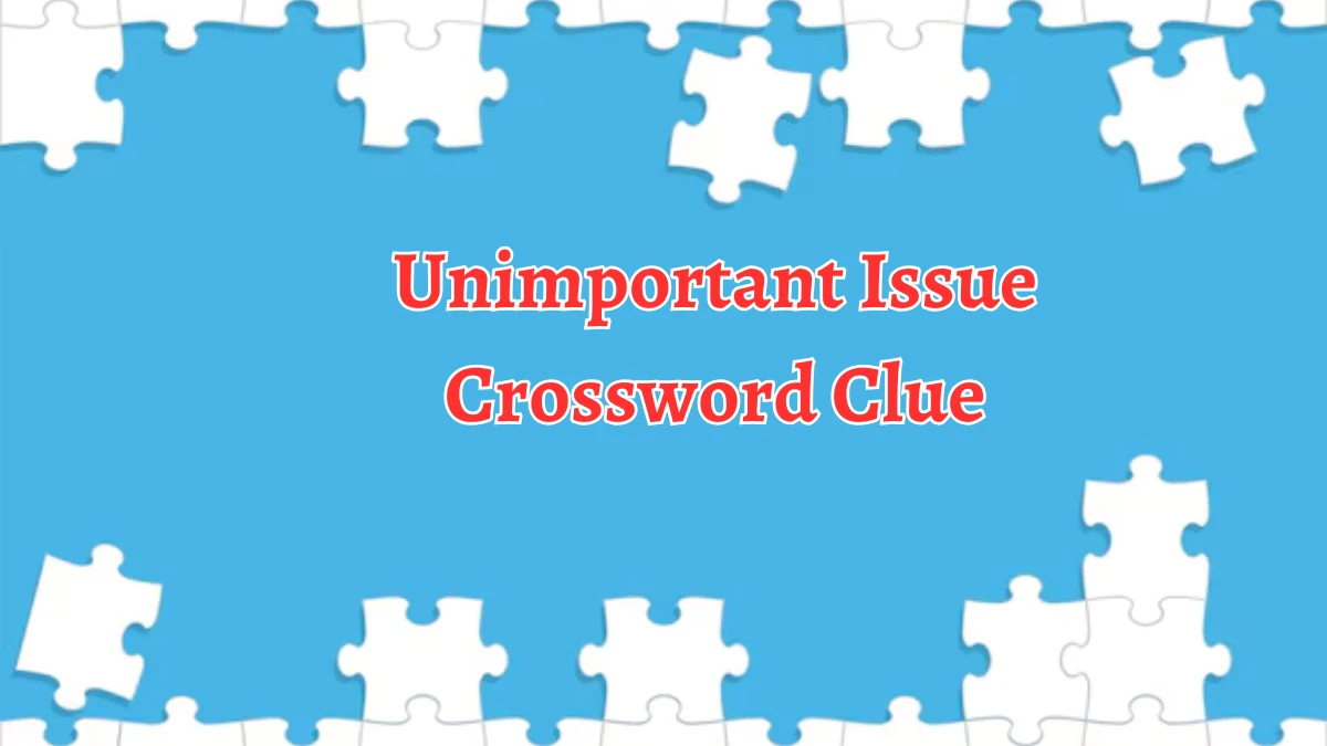 Unimportant Issue Crossword Clue