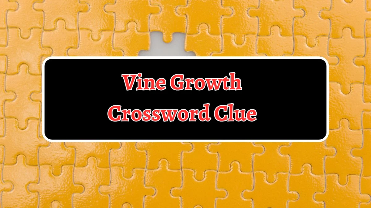 Vine Growth Crossword Clue 5 Letters