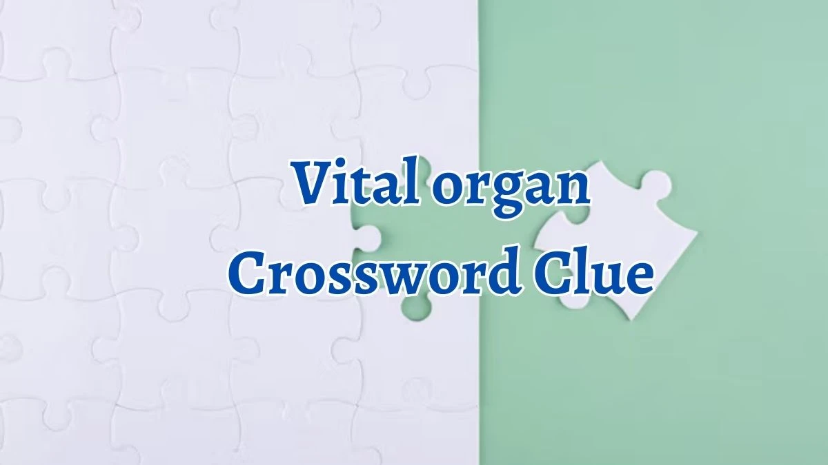 Vital organ Crossword Clue 5 Letters