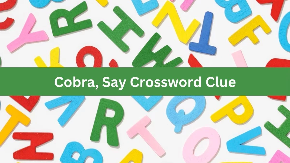 Cobra, Say Crossword Clue