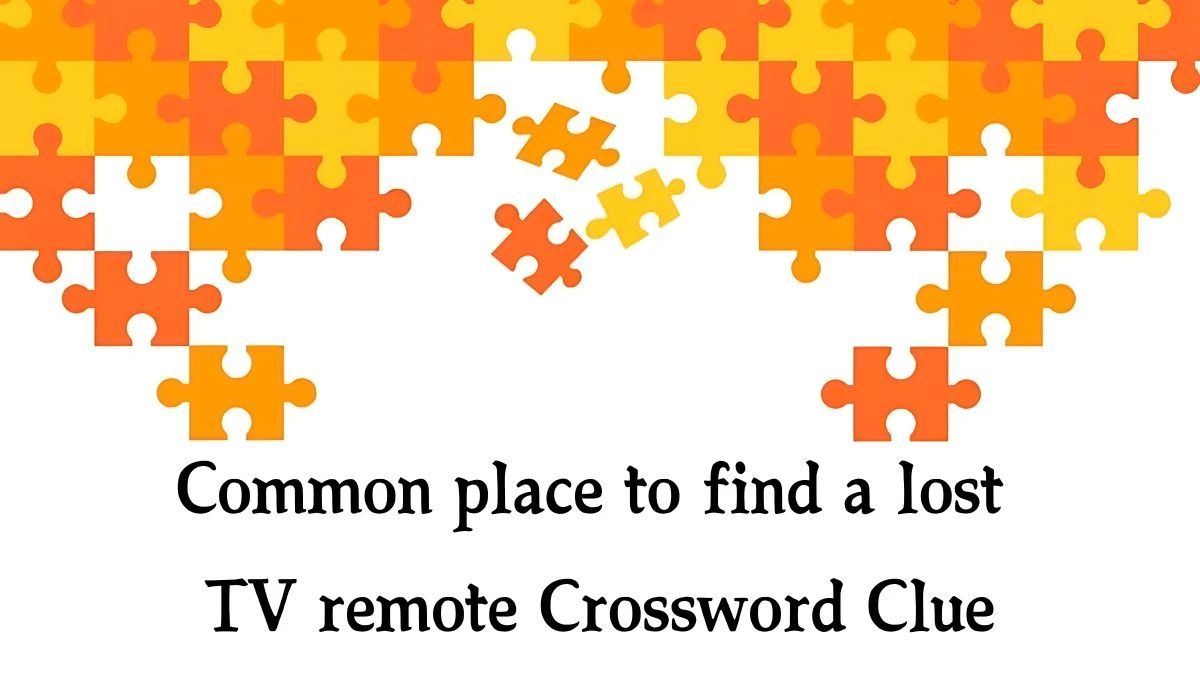 Common place to find a lost TV remote NYT Crossword Clue