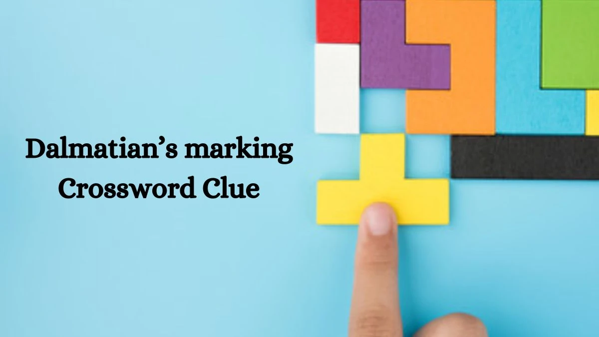 Dalmatian’s marking Crossword Clue