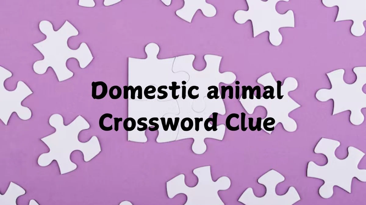 Domestic animal Crossword Clue 3 Letters