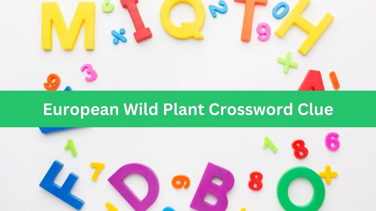 European Wild Plant Crossword Clue