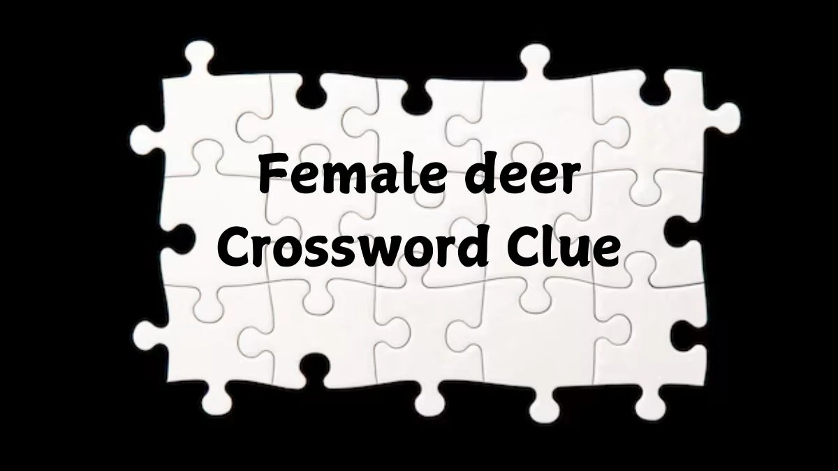 Female deer Crossword Clue 3 Letters