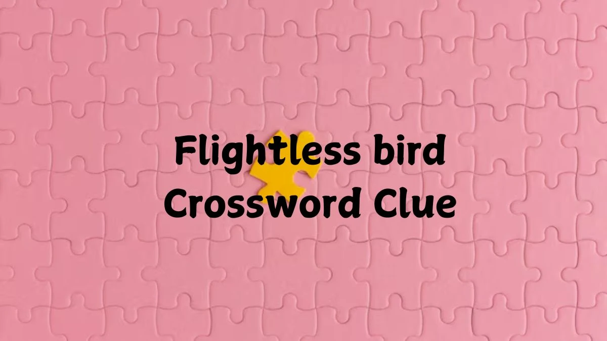 Flightless bird Crossword Clue