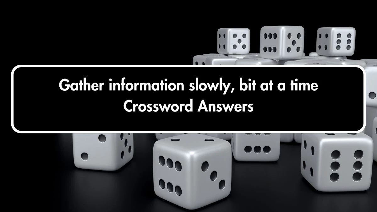 Gather information slowly, bit at a time Crossword Clue Puzzle Page