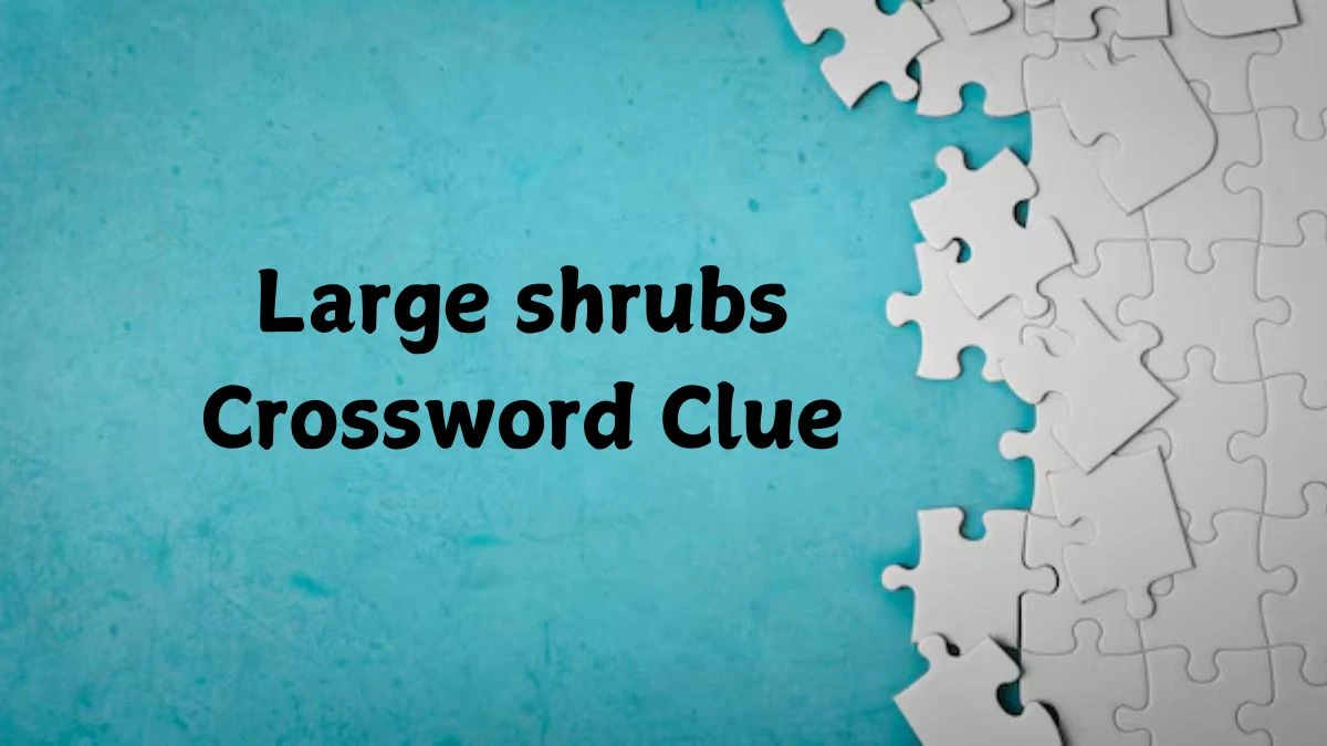 Large shrubs Crossword Clue 5 Letters