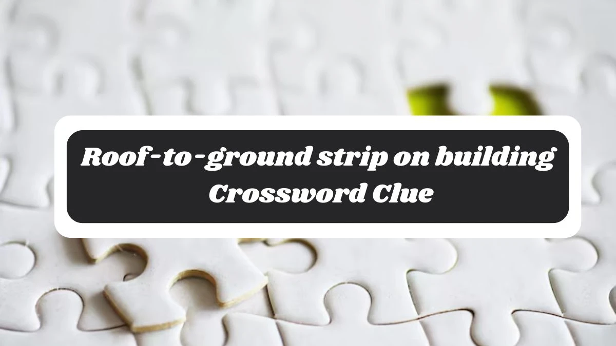 Roof-to-ground strip on building Crossword Clue