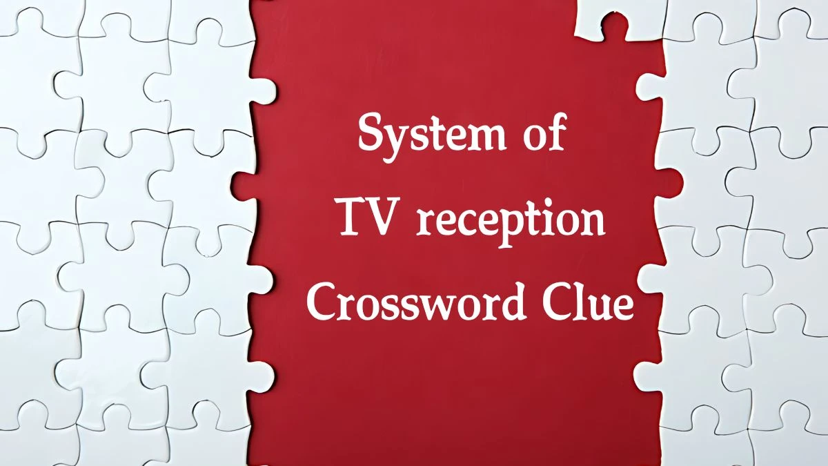 System of TV reception Puzzle Page