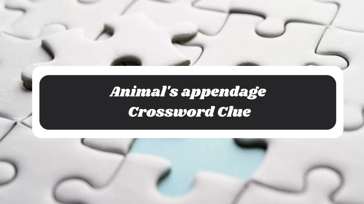 Animal's appendage Crossword Clue