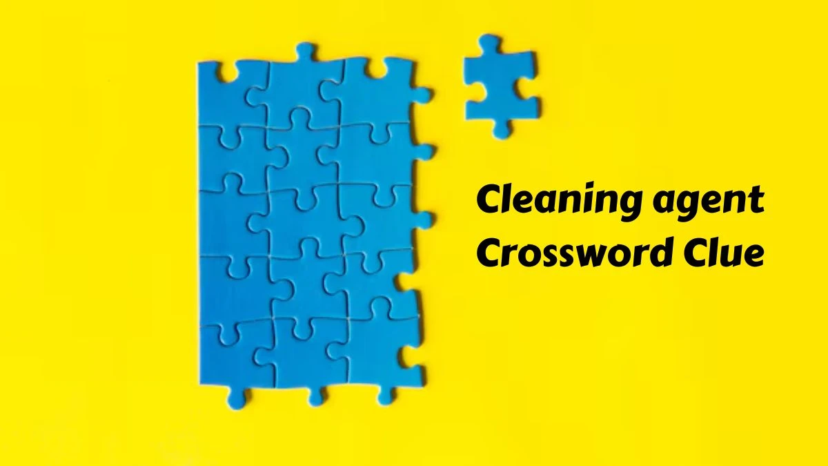 Cleaning agent Crossword Clue 4 Letters