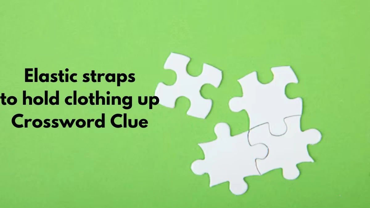 Elastic straps to hold clothing up Crossword