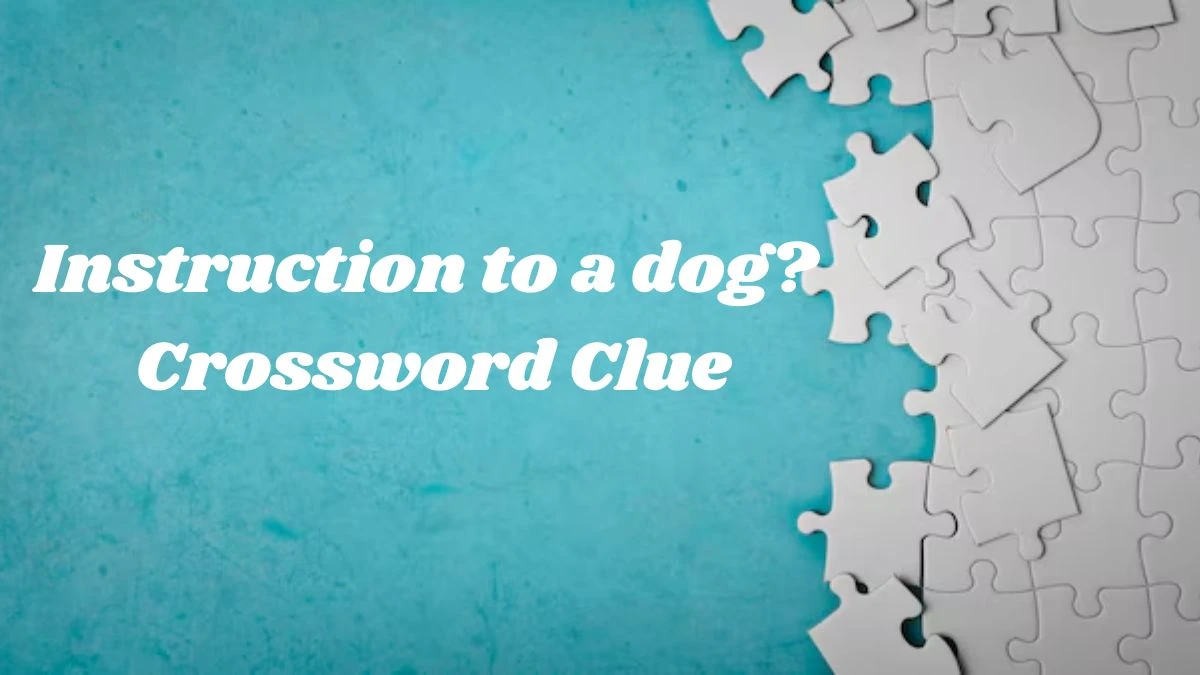 Instruction to a dog? Crossword Clue 4 Letters