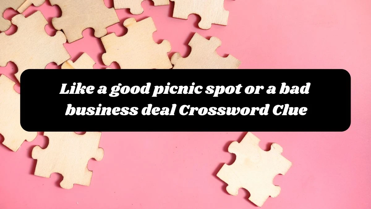 Like a good picnic spot or a bad business deal NYT Crossword Clue