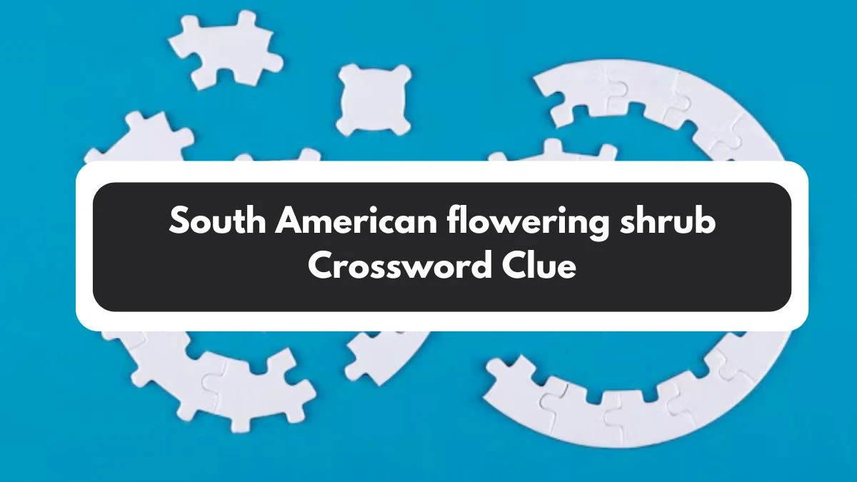 South American flowering shrub Crossword