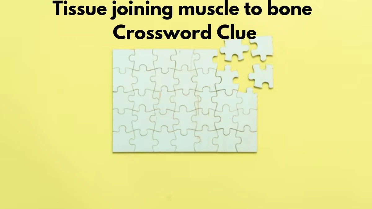 Tissue joining muscle to bone Puzzle Page