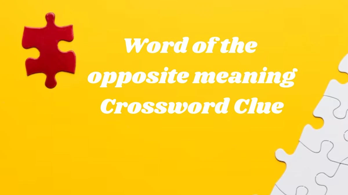 Word of the opposite meaning Crossword Clue 7 Letters