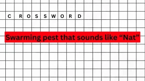 Daily Themed Crossword Clue, Swarming pest that so...