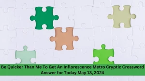 Be Quicker Than Me To Get An Inflorescence Metro Cryptic Crossword Answer for Today May 13, 2024