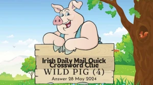 Irish Daily Mail Quick Crossword Clue Wild Pig (4) on 28 May 2024 Answer Published