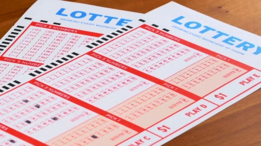 Lucky Win Lottery Result Today 01/03/2021: Check Lucky Win Lotto Lottery Result, Lottery Draw Timings and Lucky Win Lott Chart