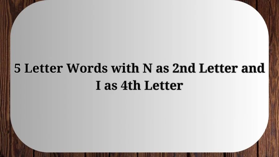 5 Letter Words with N as 2nd Letter and I as 4th Letter, List Of 5 Letter Words with N as 2nd Letter and I as 4th Letter