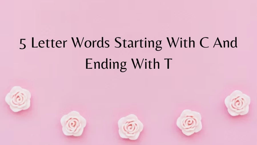 5 Letter Words Starting With C And Ending With T - List of 5 Letter Words Starts With C And Ends With T
