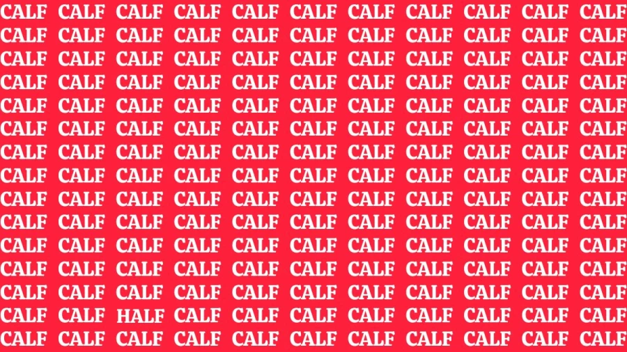 Optical Illusion Eye Test: If you have Eagle Eyes Find the Word Half among Calf in 8 Secs