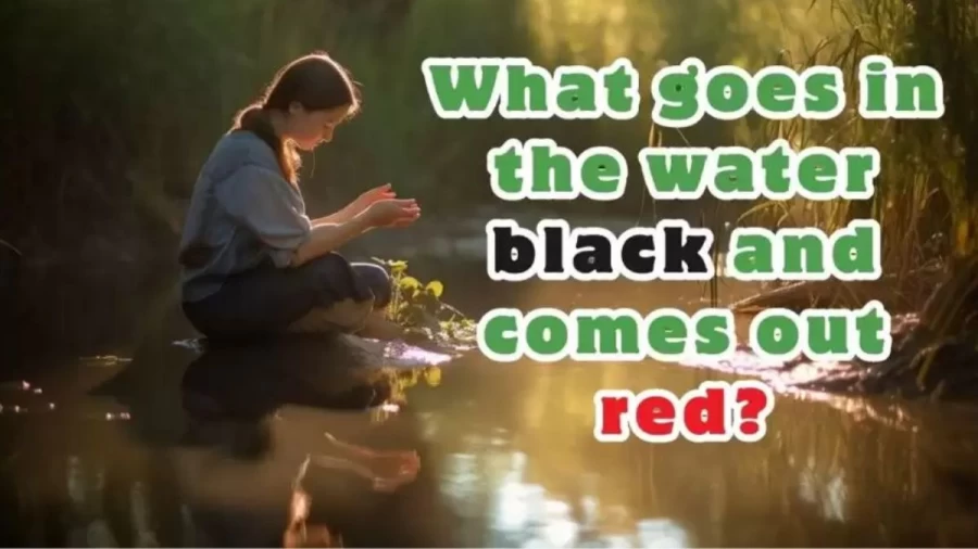 What Goes in the Water Black and Comes out Red? - Riddle and Answer
