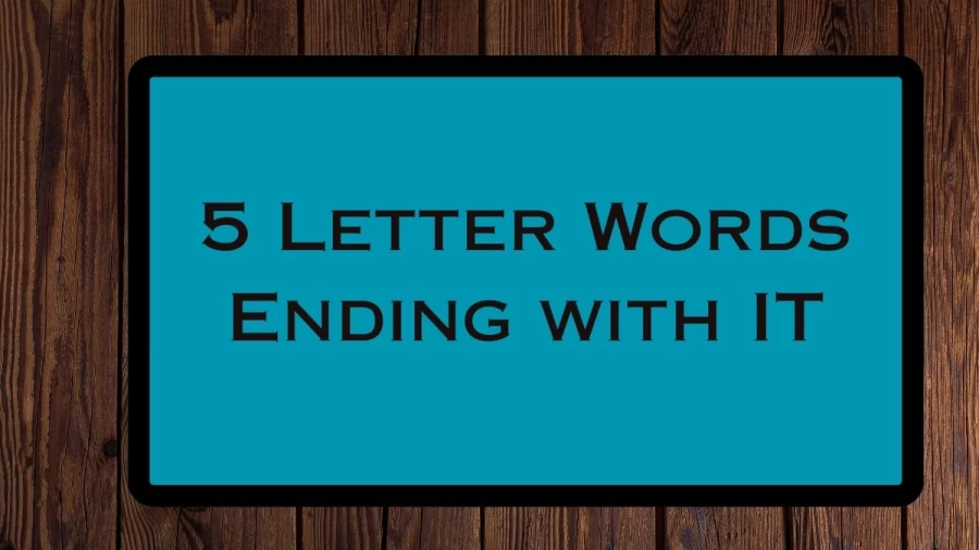 5 Letter Words Ending with IT, List Of 5 Letter Words Ending with IT