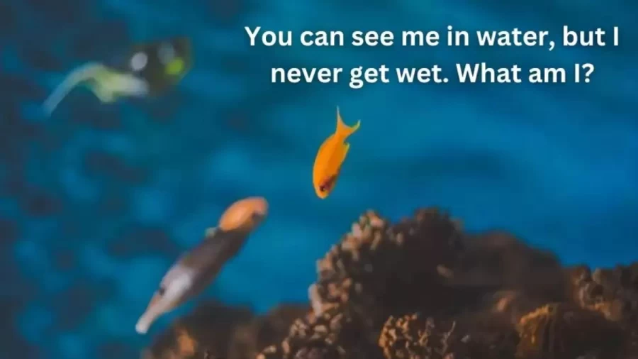 You Can See Me In Water But I Never Get Wet What Am I? - Riddle Solution Explained
