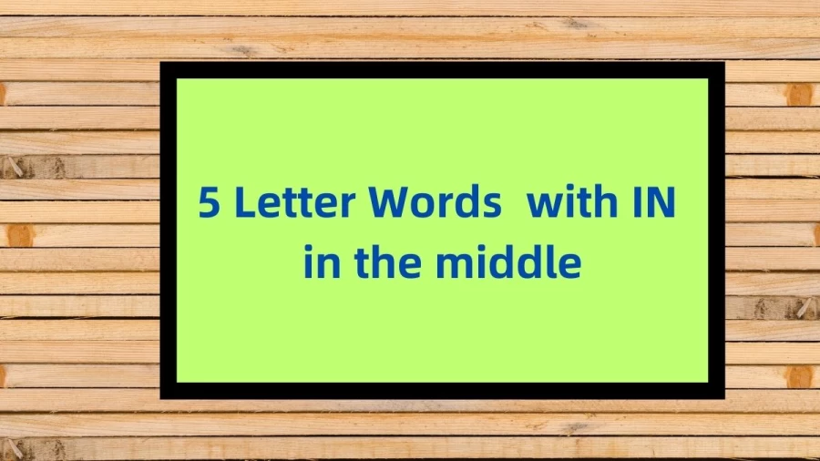 5 Letter Words with IN in the middle, List Of 5 Letter Words with IN in the middle