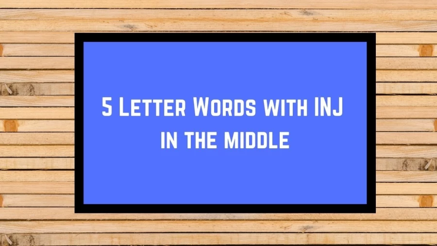 5 Letter Words with INJ in the middle, List Of 5 Letter Words with INJ in the middle