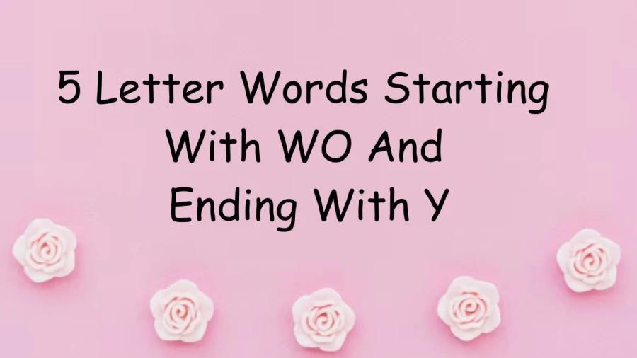 5 Letter Words Starting With WO And Ending With Y - List of Five Letter Words Starts With WO And Ends With Y