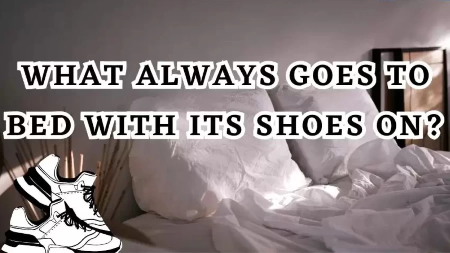 What Always Goes to Bed with its Shoes on? - Riddle with Solution