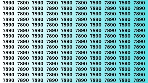 Visual Test: If you have 50/50 Vision Find the Number 7860 among 7890 in 15 Secs