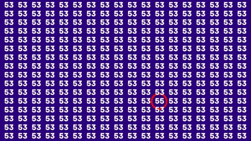 Visual Test: If you have 50/50 Vision Find the Number 55 among 53 in 15 Secs