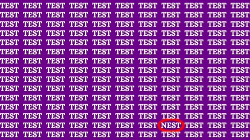 Optical Illusion Brain Challenge: If you have  Sharp Eyes  Find the Word Nest among Test in 8 Secs