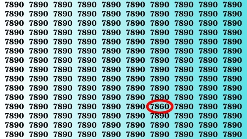 Visual Test: If you have 50/50 Vision Find the Number 7860 among 7890 in 15 Secs